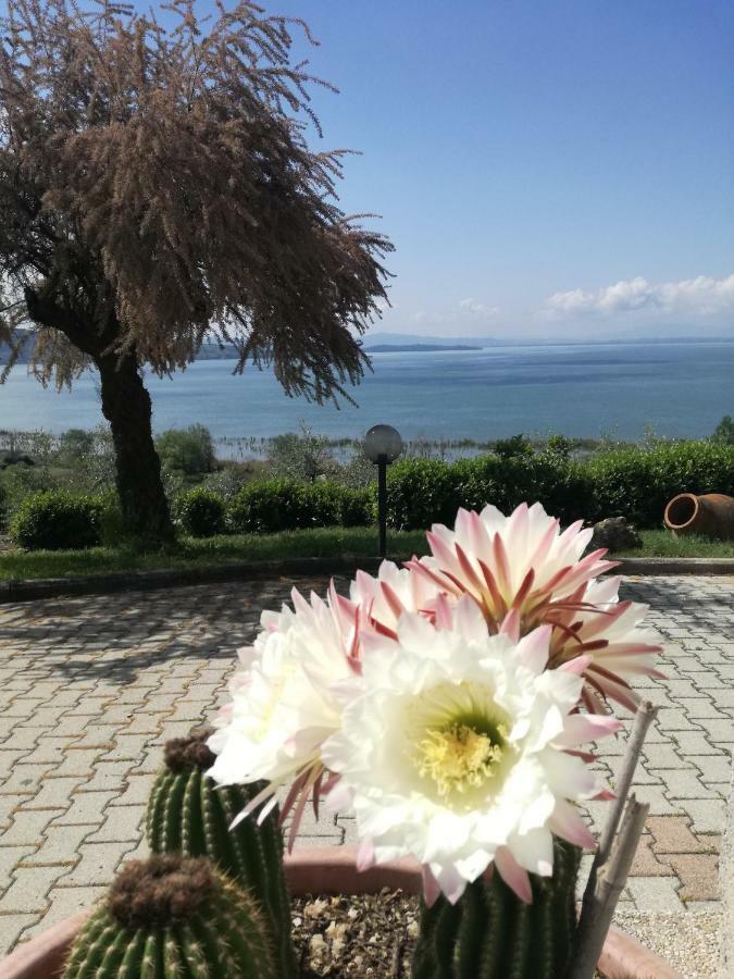B&B Torre Del Lago Trasimeno Passignano sul Trasimeno Dış mekan fotoğraf