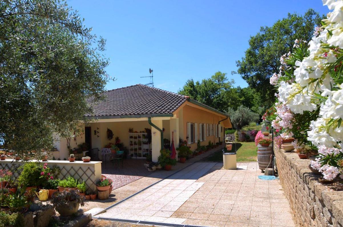 B&B Torre Del Lago Trasimeno Passignano sul Trasimeno Dış mekan fotoğraf